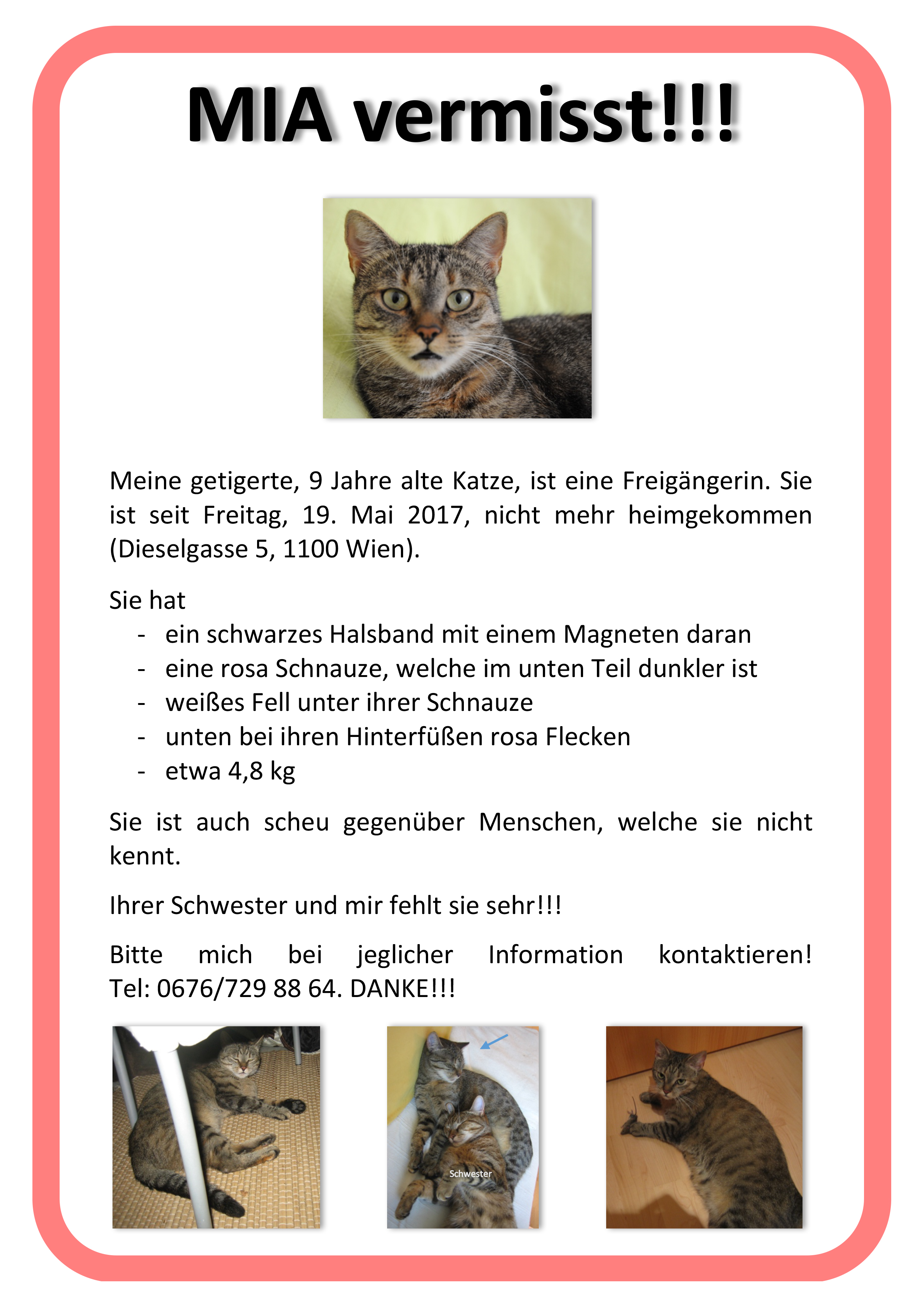 Vermisste Tiere HausTierSuche.at Private Tierschutzinitiative